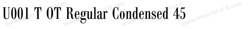 U001 T OT Regular Condensed 45991字体转换